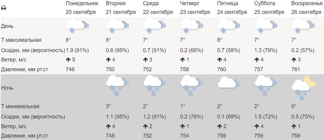 Фото «А за окном то дождь, то снег»: погода до конца сентября 2021– когда в Новосибирск заглянет зима 2